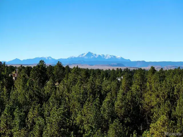 1133 Tomichi Drive Franktown CO 80116 | MLS #REC2715382 03052025080700 640 1