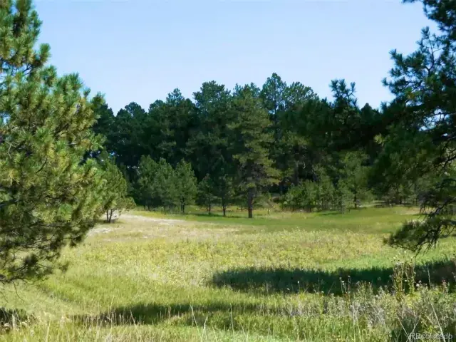 1133 Tomichi Drive Franktown CO 80116 | MLS #REC2715382 03052025080700 640 4