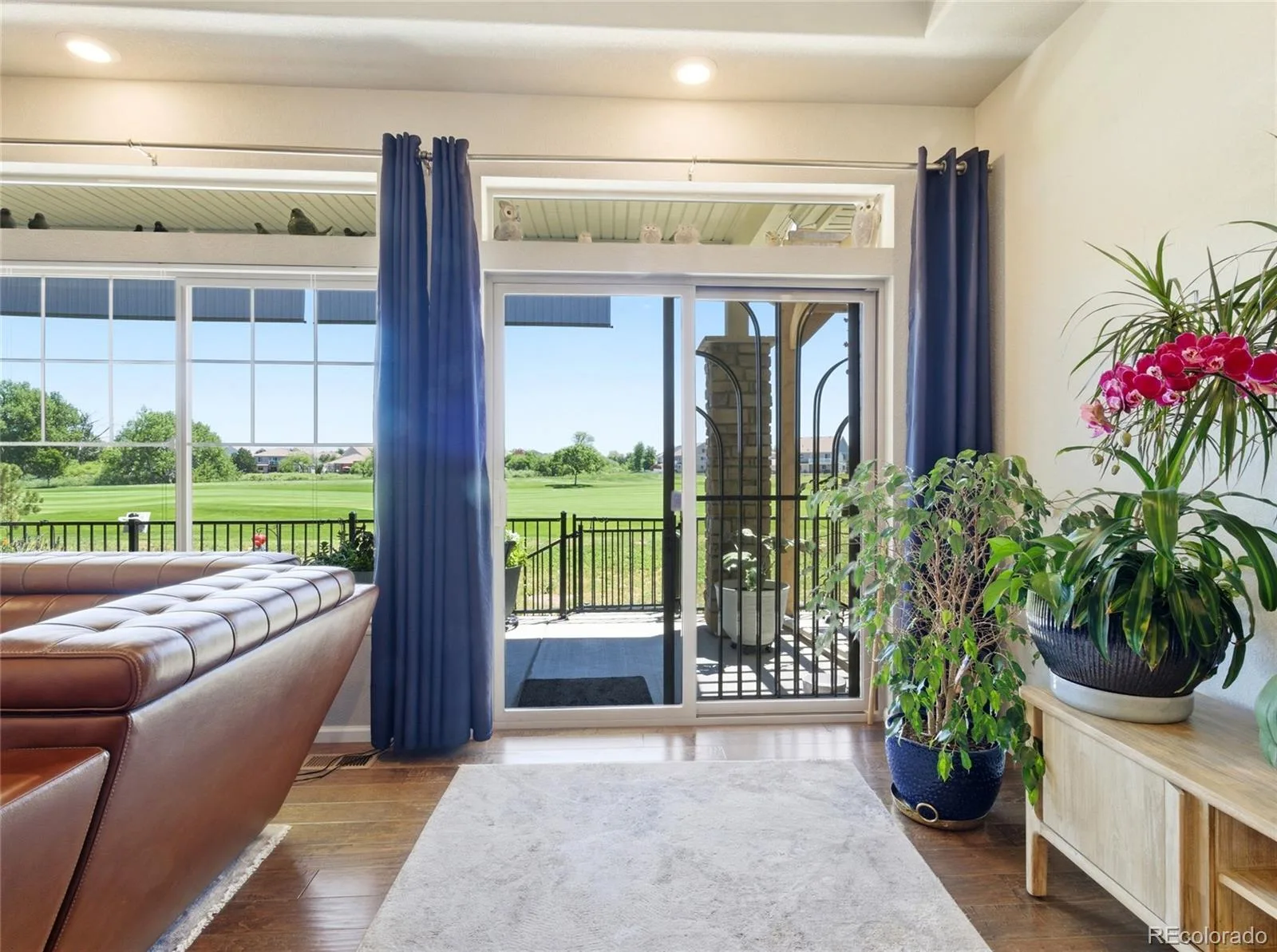 4976 Malaya Street Denver CO 80249 | MLS #REC2724188 06182026232045 1600 14