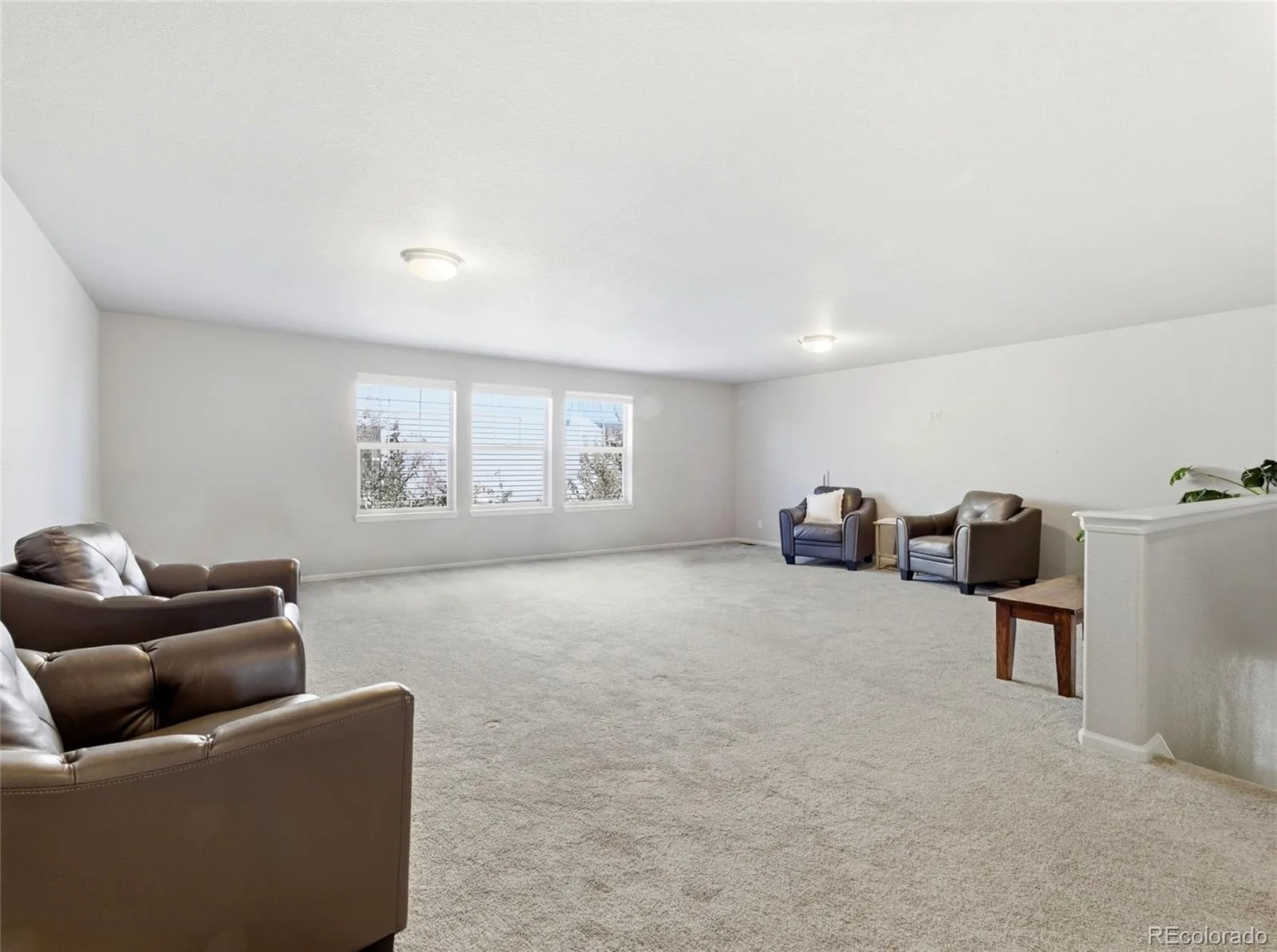 4976 Malaya Street Denver CO 80249 | MLS #REC2724188 06182026232045 1600 24
