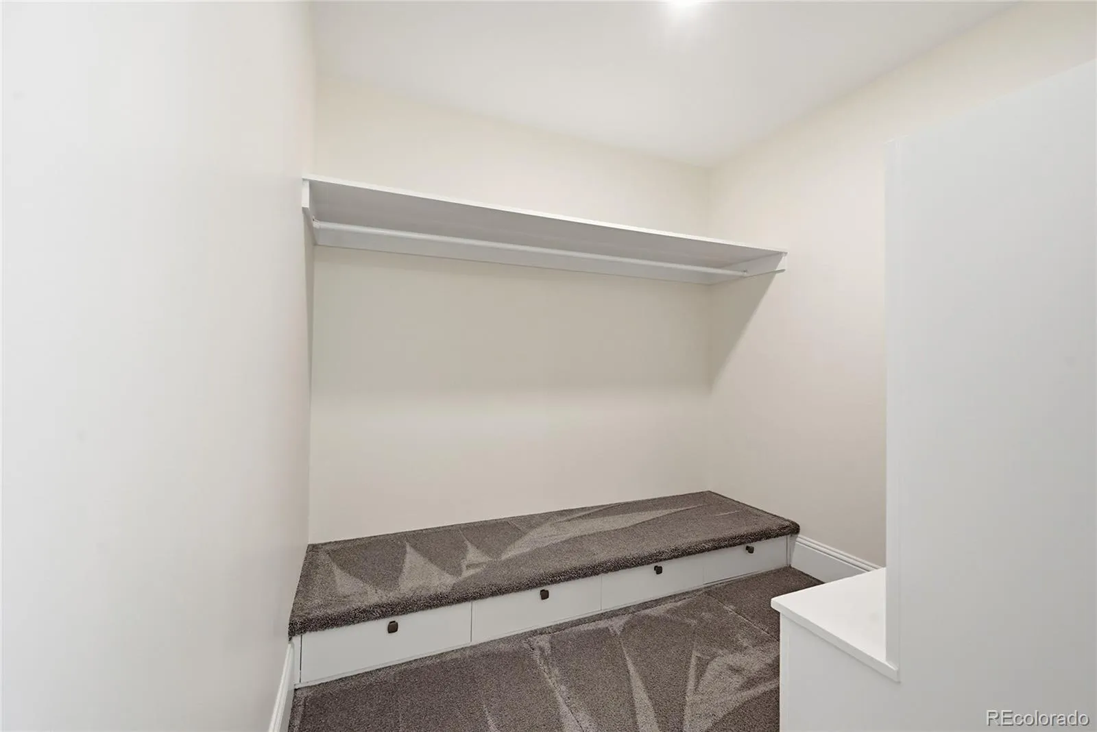 3742 S Grape Street Denver CO 80237 MLS #REC2725016 04242026172430 1600 15