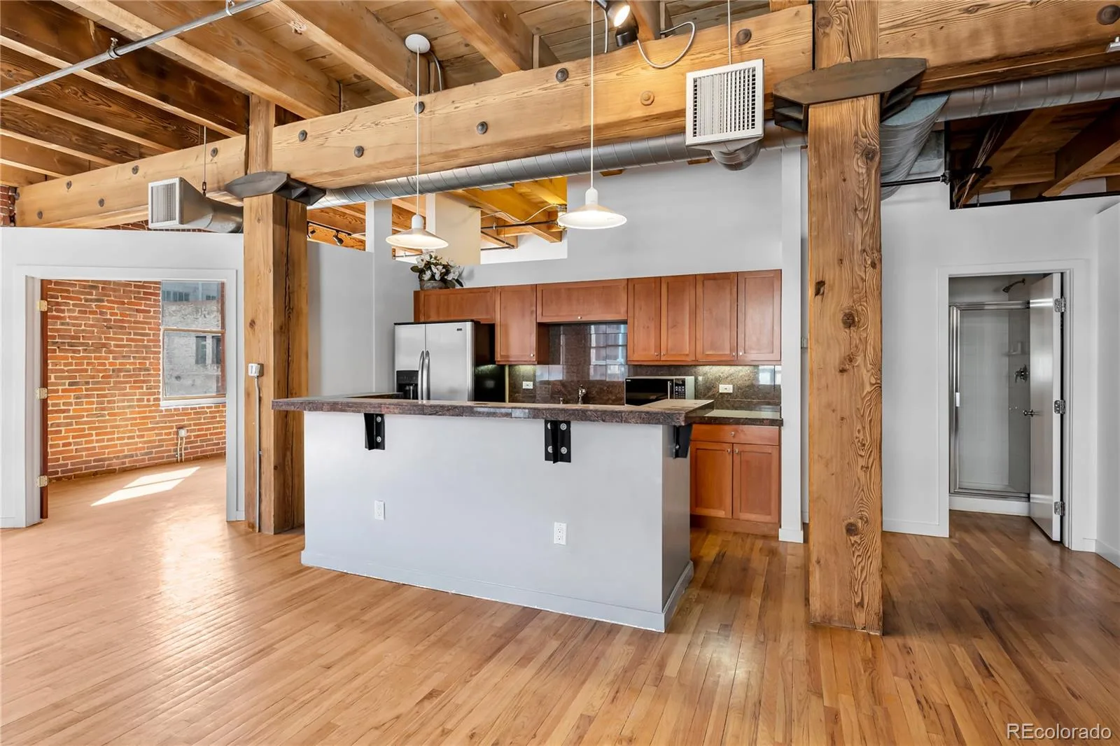 1745 Wazee Street #2D Denver CO 80202 | MLS #REC2725523 09262026011543 1600 23