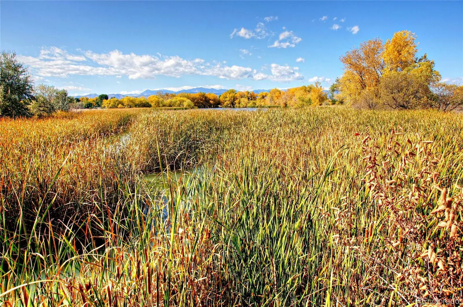 01282026162829 1600 44