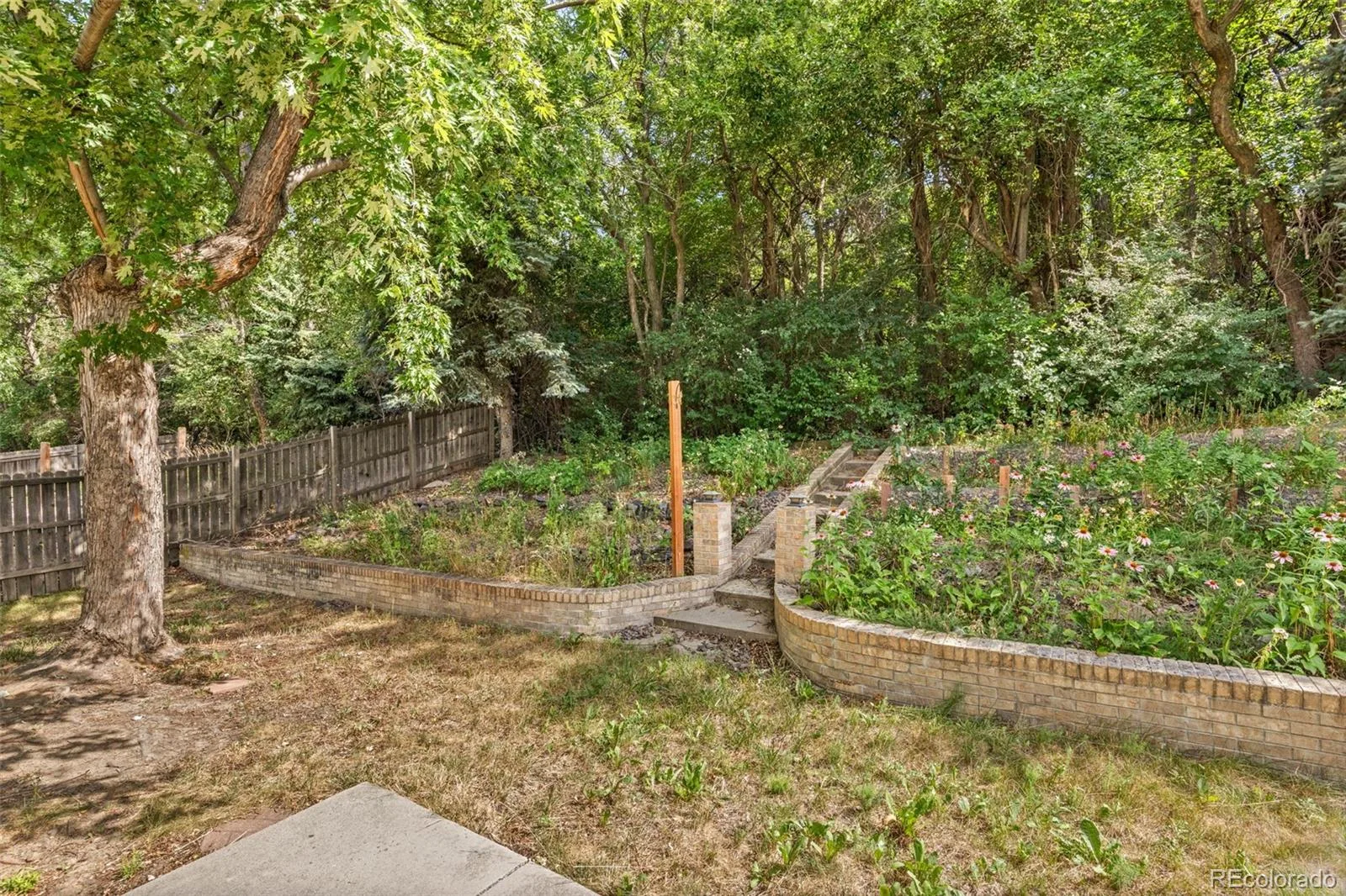 11220 W 66th Place Arvada CO 80004 | MLS #REC2735627 07302026012310 1600 26