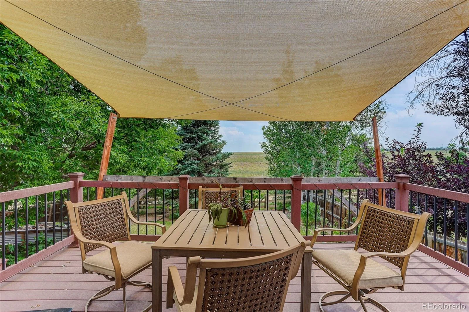 1664 Westin Drive Erie CO 80516 | MLS #REC2747819 07162026141343 1600 4