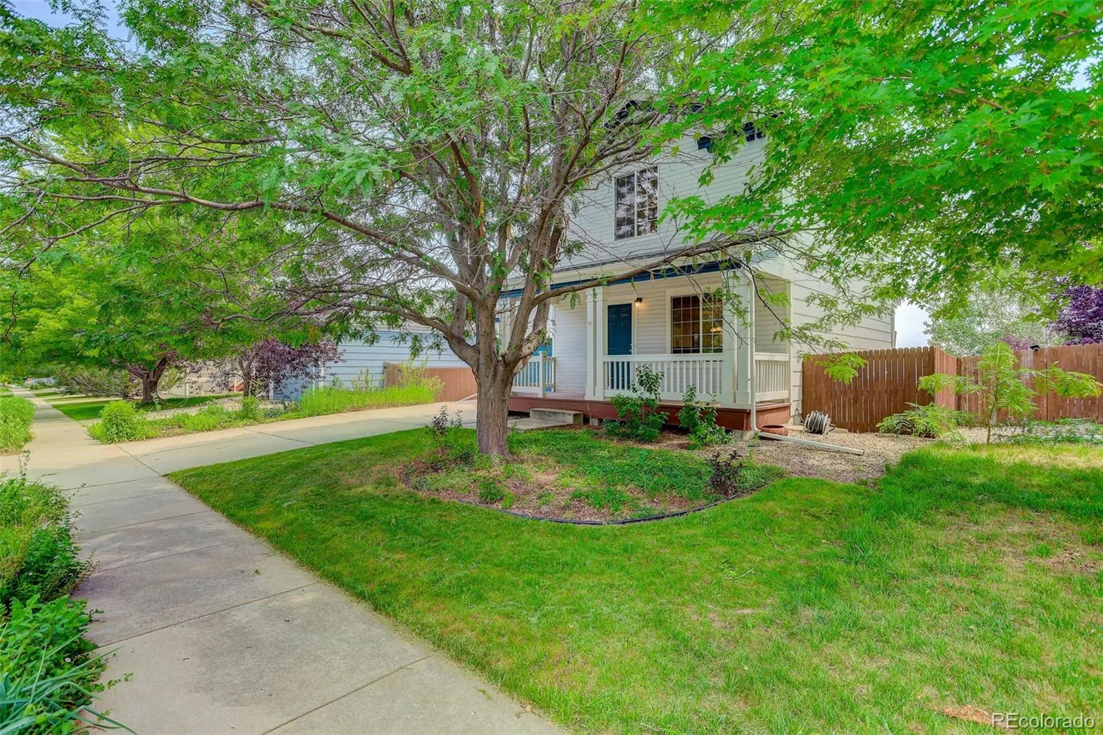 1664 Westin Drive Erie CO 80516 | MLS #REC2747819 07162026141343 1600 40