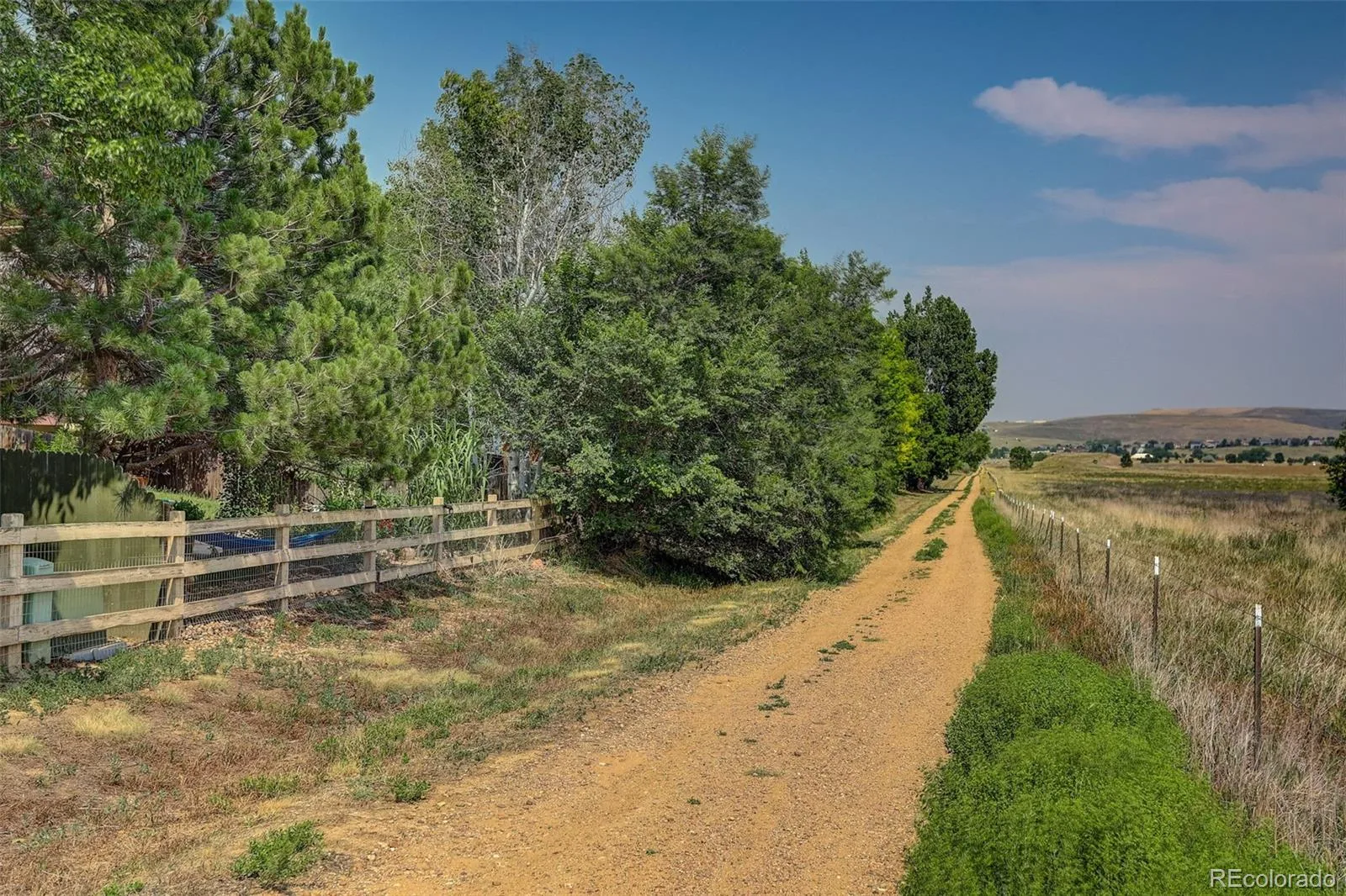 1664 Westin Drive Erie CO 80516 | MLS #REC2747819 07162026141343 1600 41