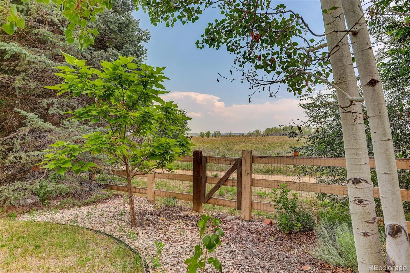 1664 Westin Drive Erie CO 80516 | MLS #REC2747819 07162026141343 1600 5