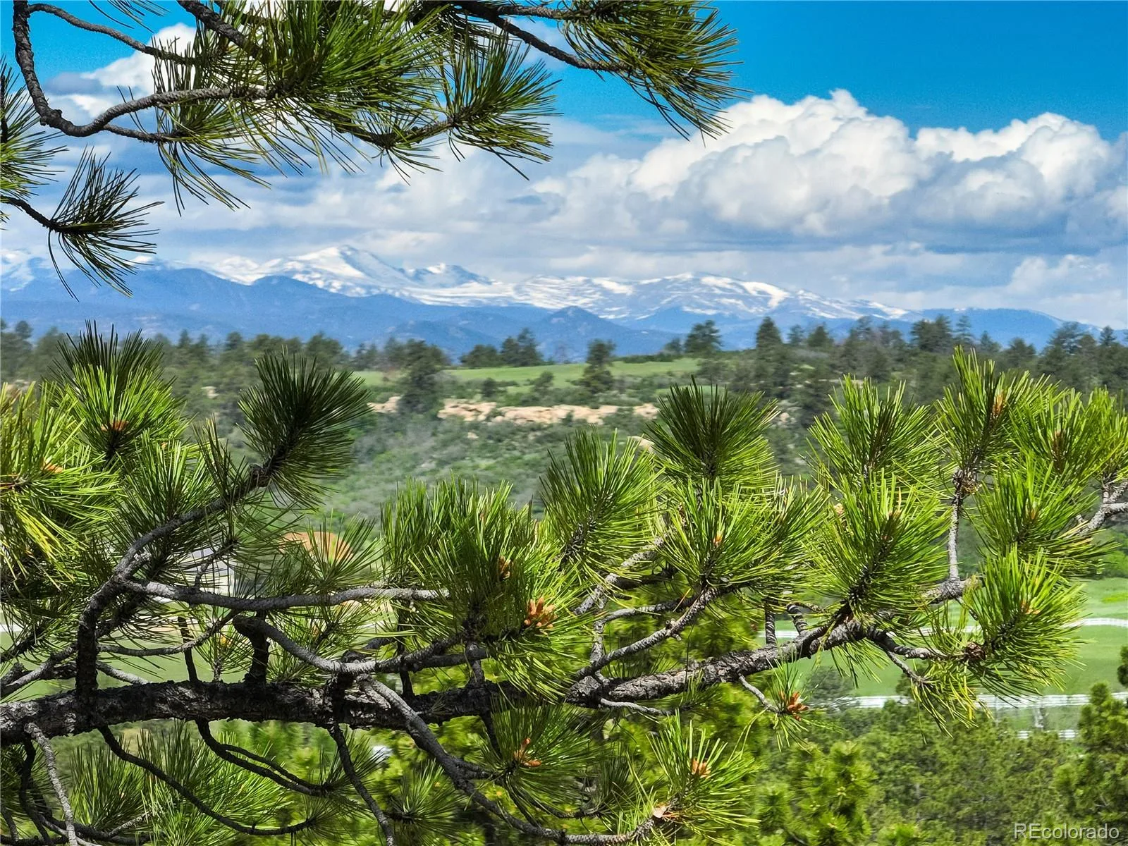 1083 Golf Estates Point Castle Rock CO 80108 | MLS #REC2766544 06092026015330 1600 10