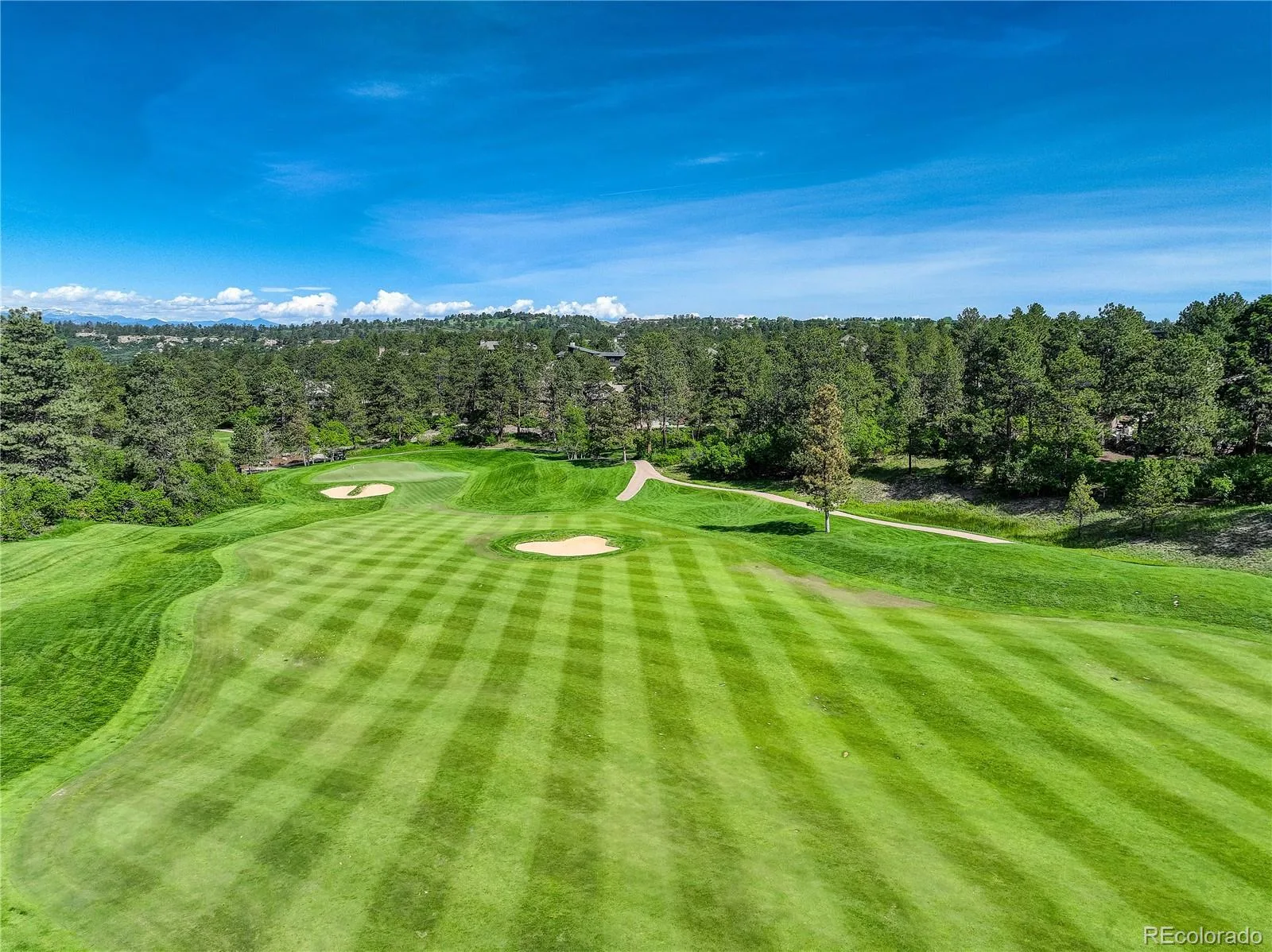 1083 Golf Estates Point Castle Rock CO 80108 | MLS #REC2766544 06092026015330 1600 7