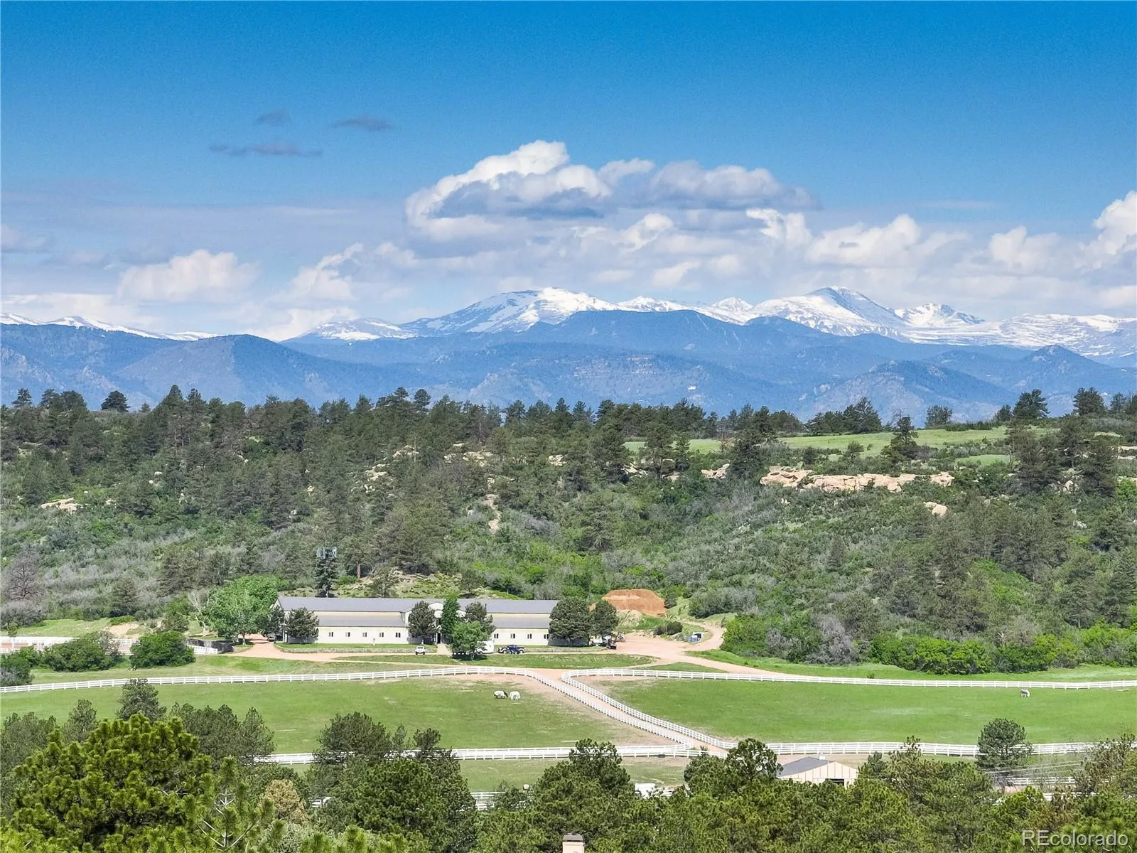 1083 Golf Estates Point Castle Rock CO 80108 | MLS #REC2766544 06092026015330 1600 9