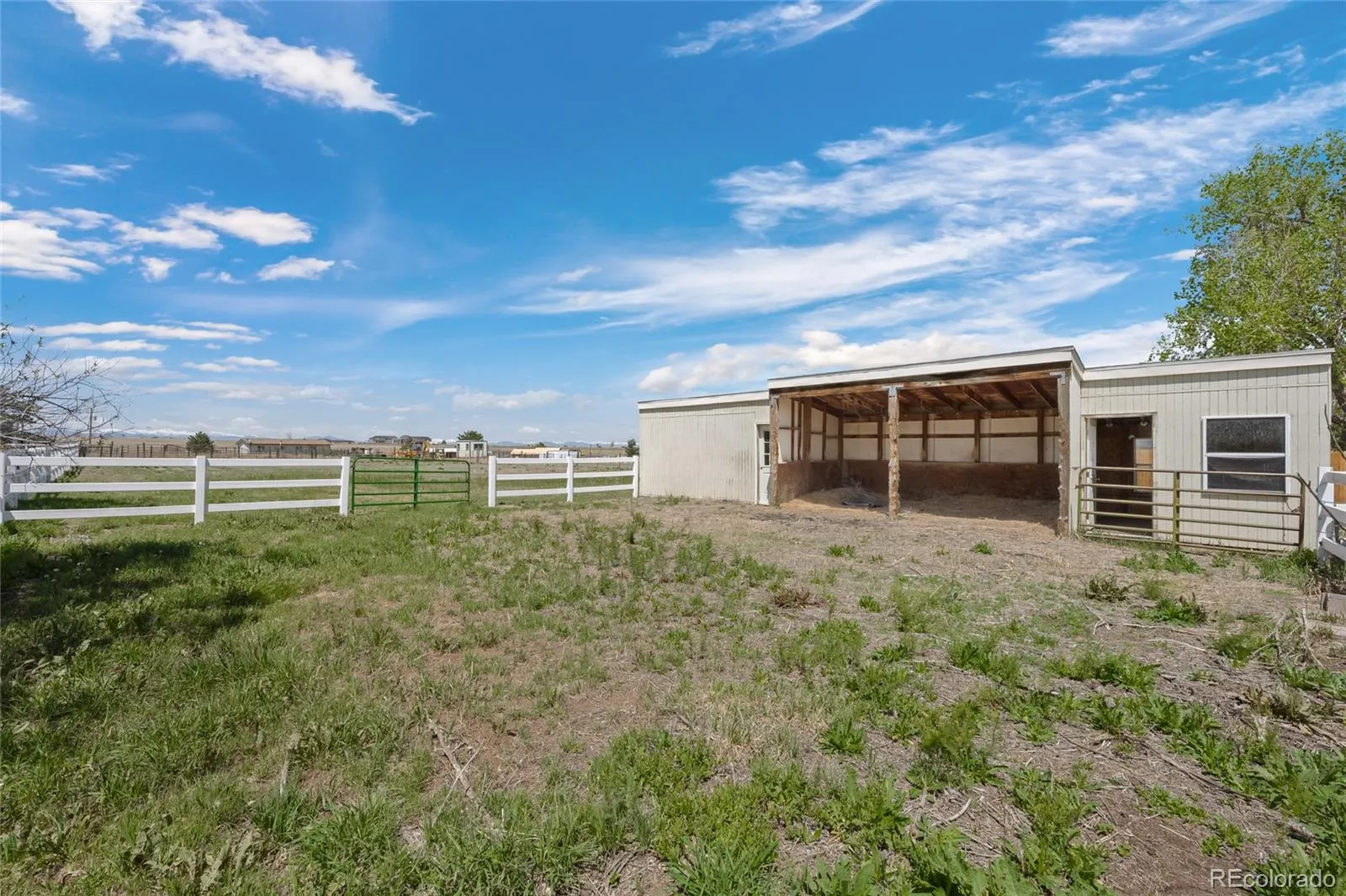 12941 2nd Street Parker CO 80134 MLS #REC2771131 05132026053531 1600 39