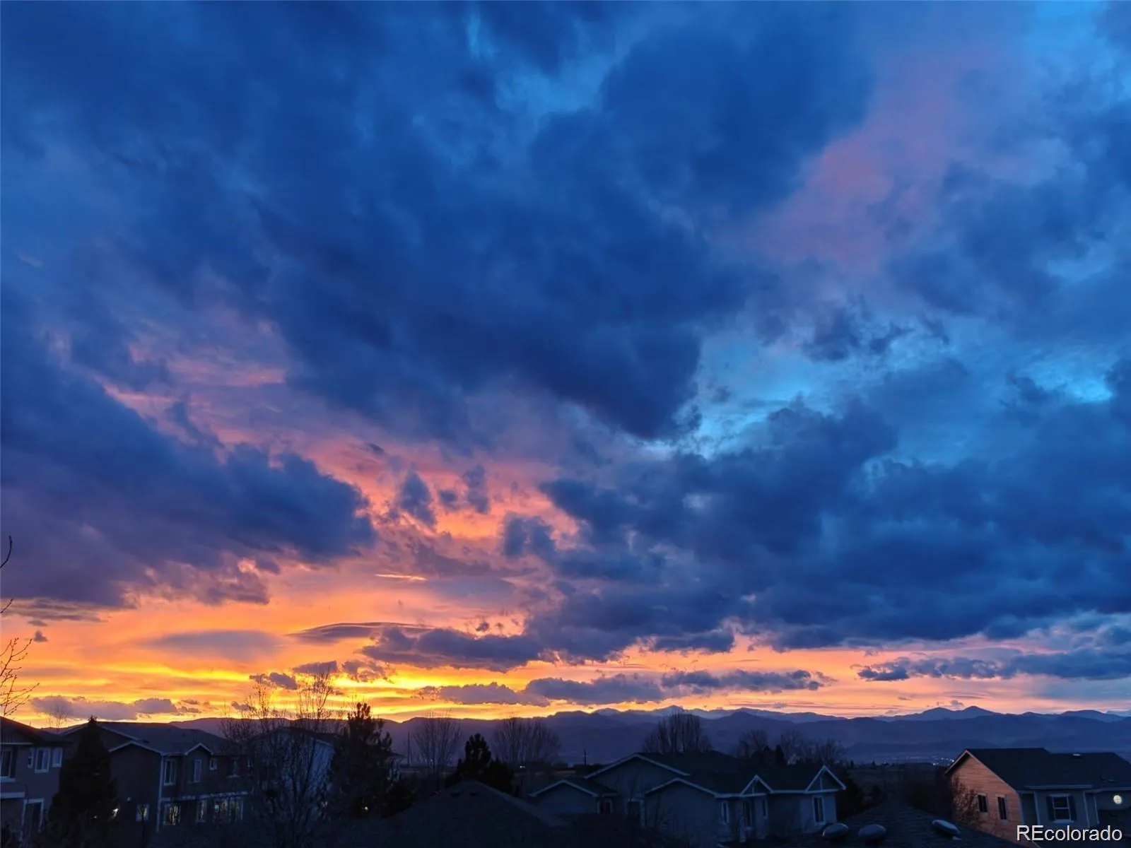 2675 Shadecrest Place Highlands Ranch CO 80126 MLS #REC2776846 05012026023141 1600 31