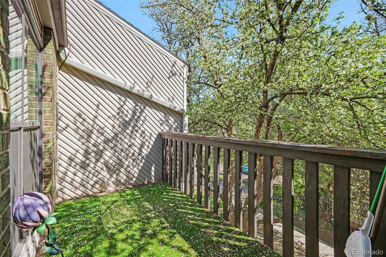 3550 S Harlan Street #230 Denver CO 80235 | MLS #REC2786118 08042026193406 1600 17