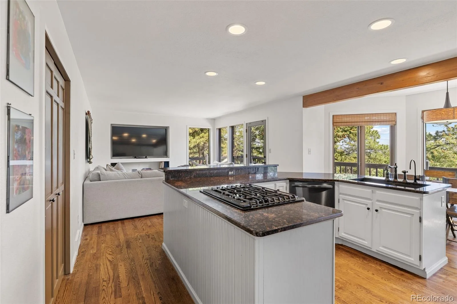 6159 S Skyline Drive Evergreen CO 80439 | MLS #REC2799084 06112026165229 1600 16