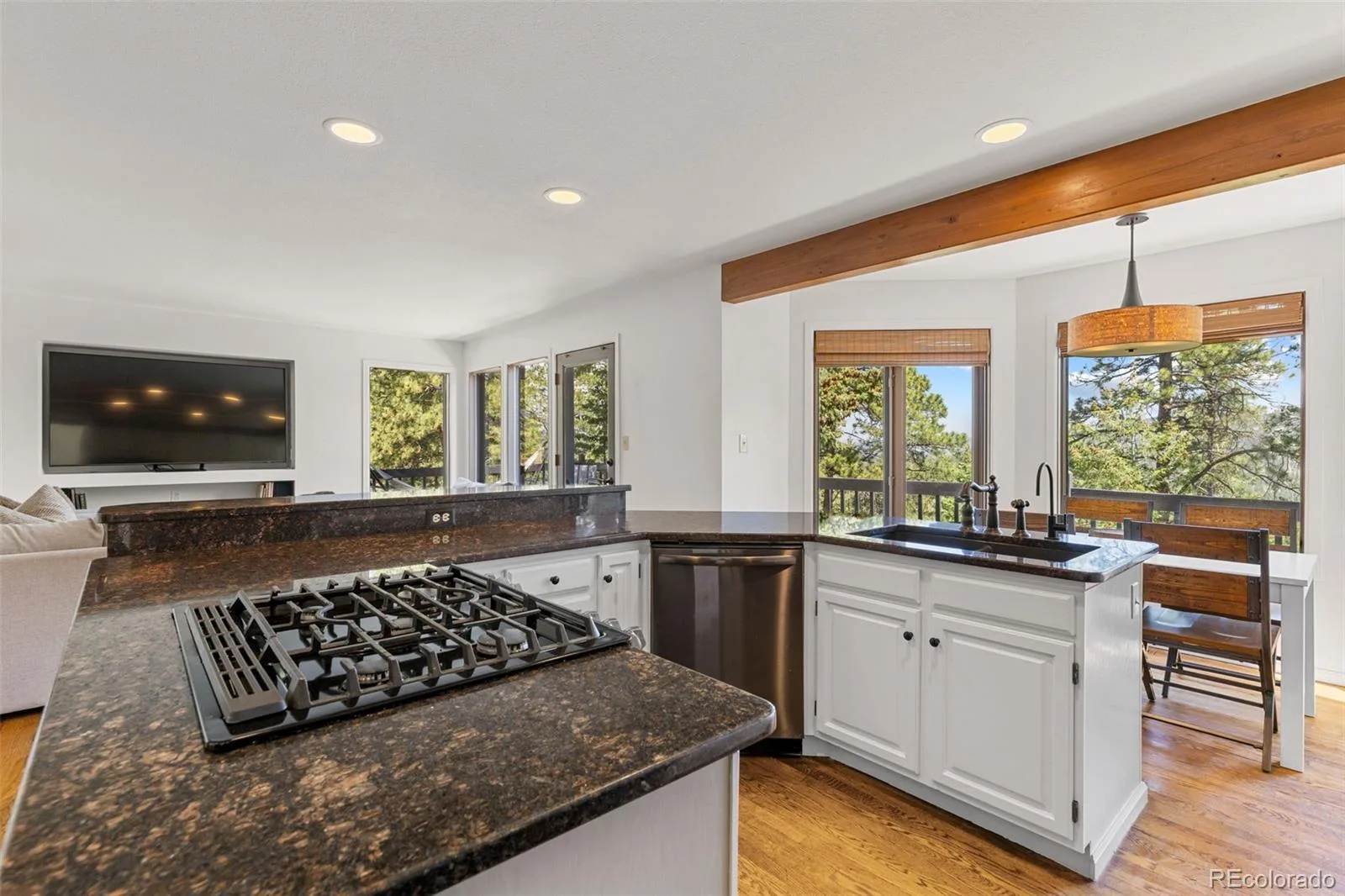 6159 S Skyline Drive Evergreen CO 80439 | MLS #REC2799084 06112026165229 1600 17