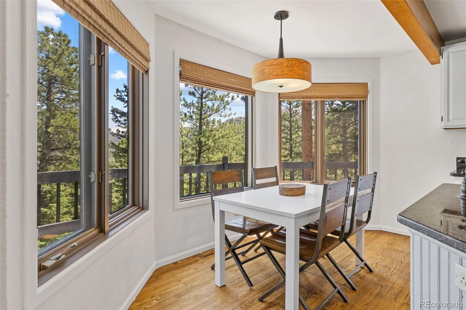 6159 S Skyline Drive Evergreen CO 80439 | MLS #REC2799084 06112026165229 1600 18