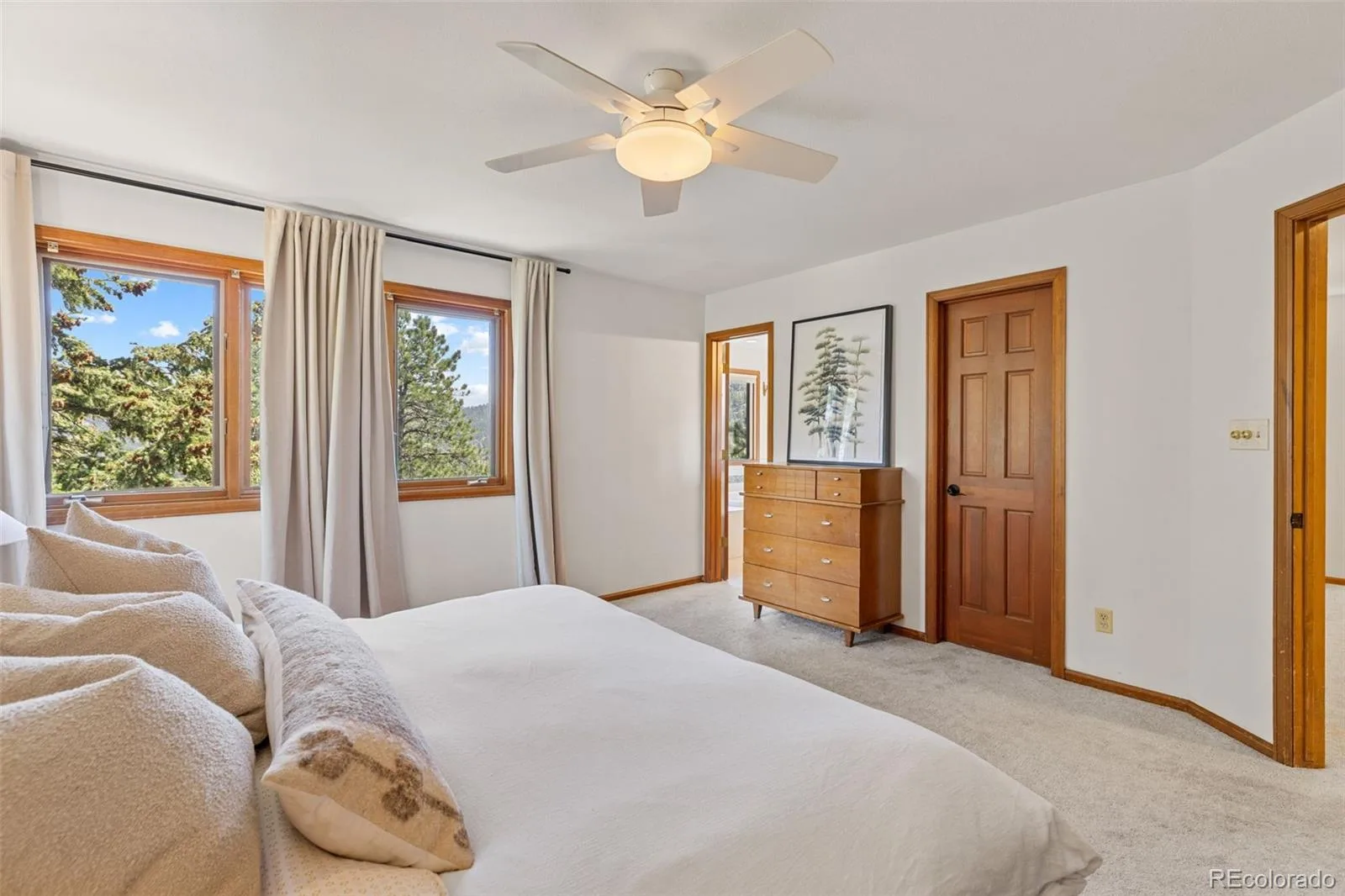 6159 S Skyline Drive Evergreen CO 80439 | MLS #REC2799084 06112026165229 1600 24
