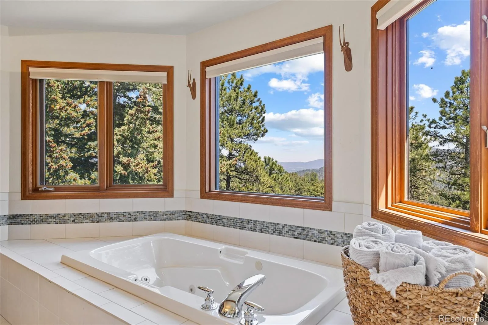 6159 S Skyline Drive Evergreen CO 80439 | MLS #REC2799084 06112026165229 1600 28