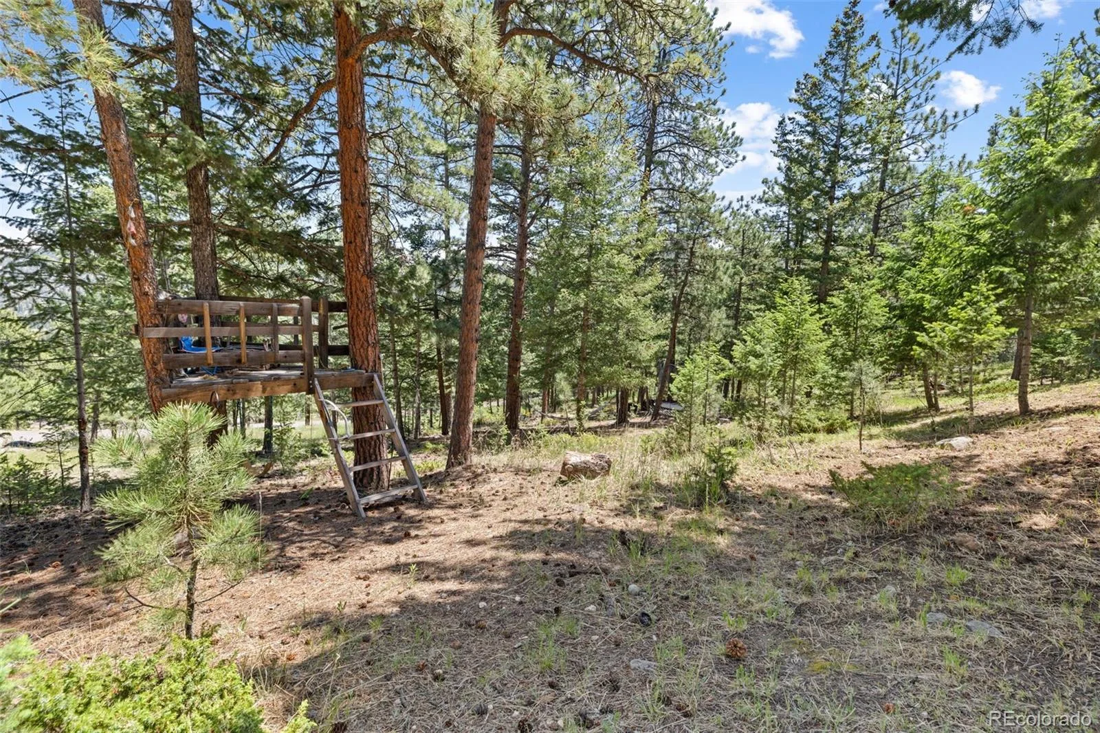 6159 S Skyline Drive Evergreen CO 80439 | MLS #REC2799084 06112026165229 1600 45