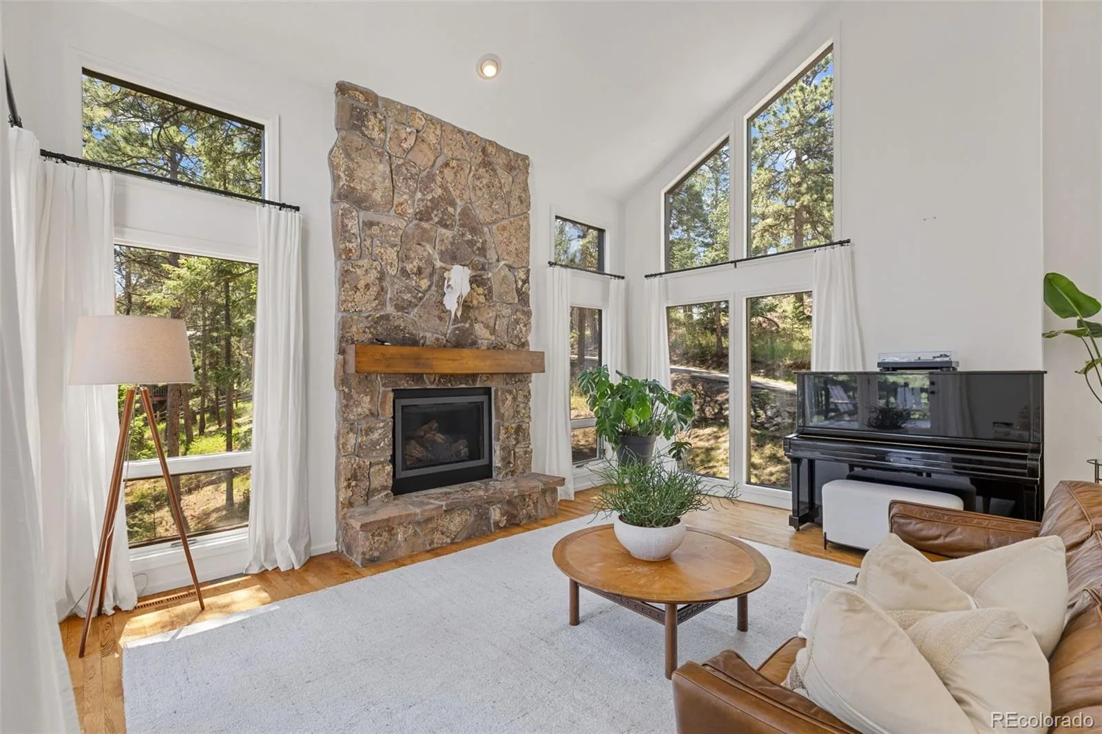 6159 S Skyline Drive Evergreen CO 80439 | MLS #REC2799084 06112026165229 1600 8