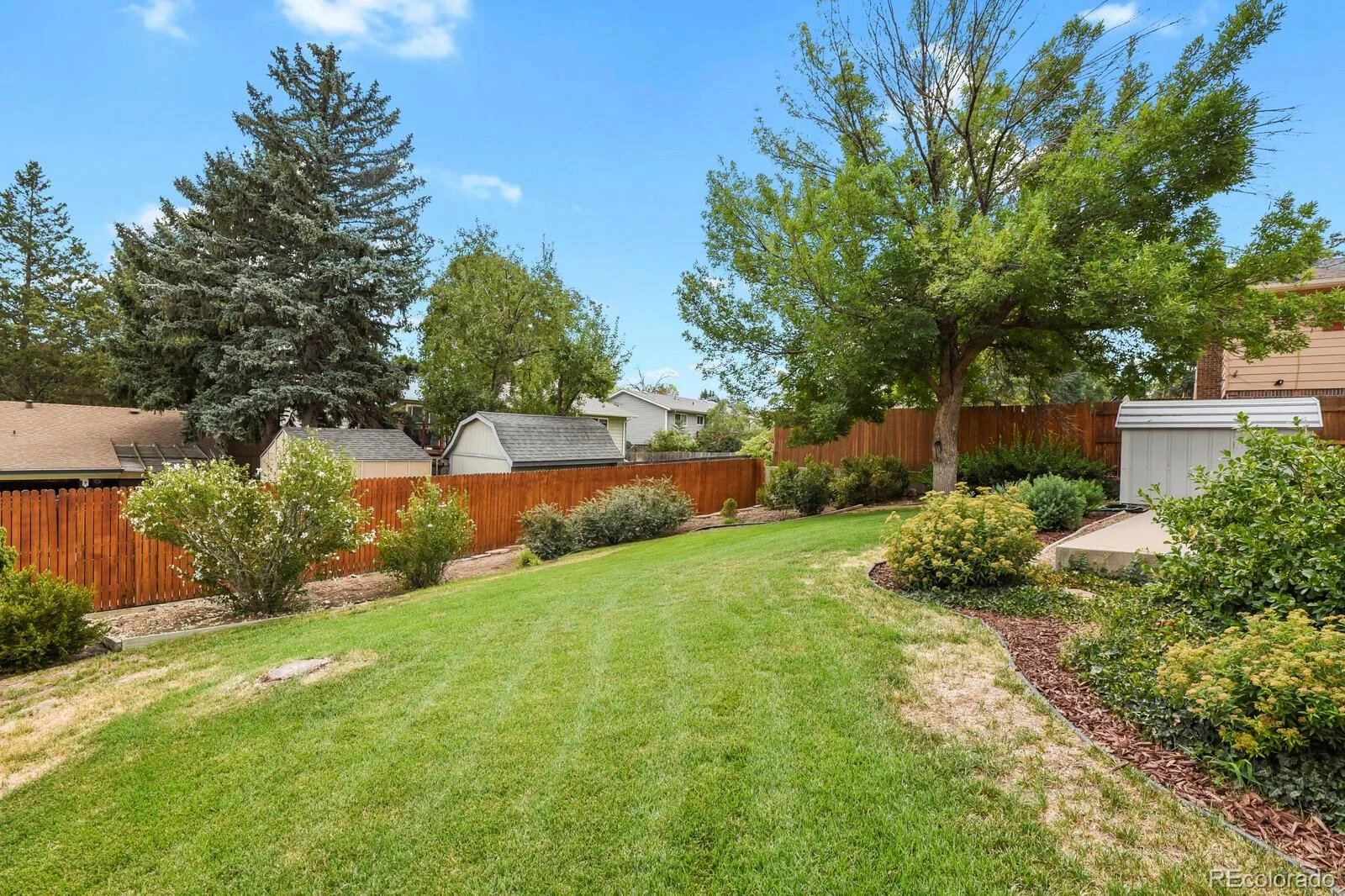 9310 Raleigh Street Westminster CO 80031 | MLS #REC2801096 08142026210501 1600 32