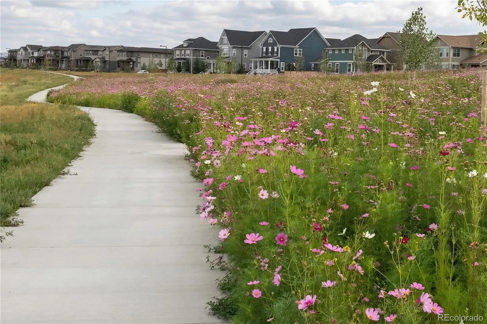 04152026230806 1600 24