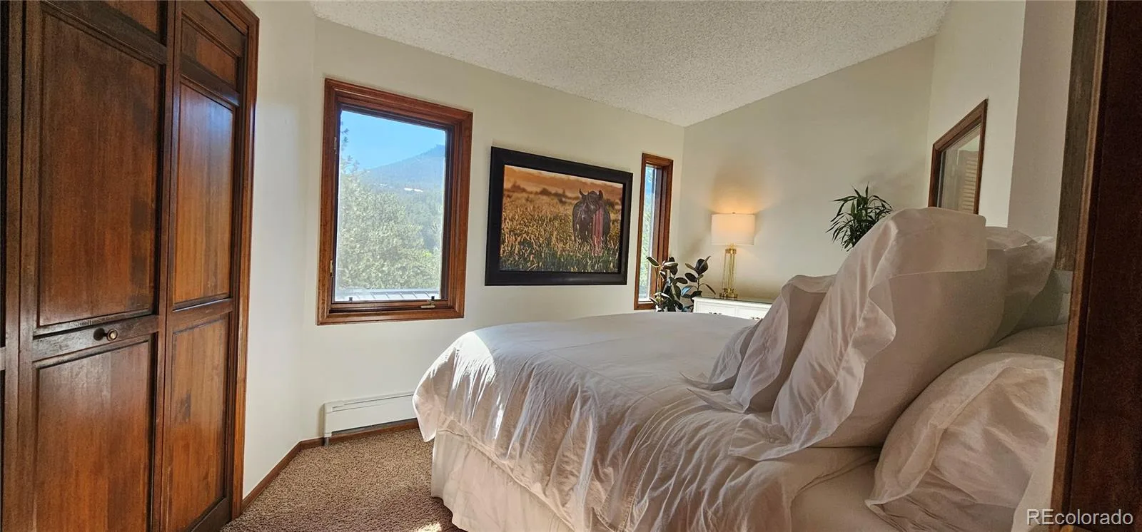 27901 Pine Drive Evergreen CO 80439 | MLS #REC2804813 08212026205741 1600 13