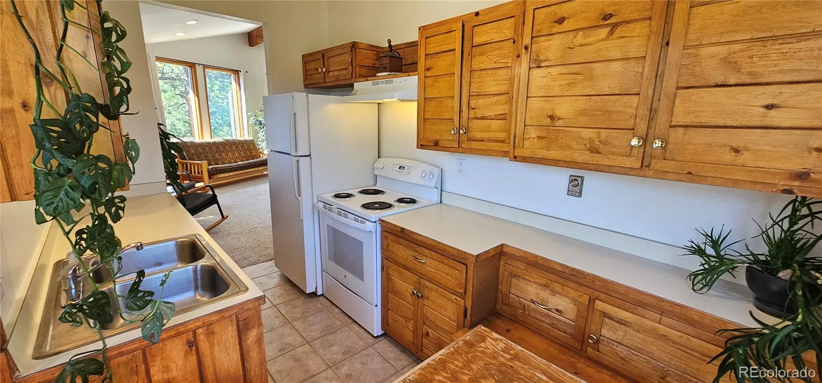27901 Pine Drive Evergreen CO 80439 | MLS #REC2804813 08212026205741 1600 20