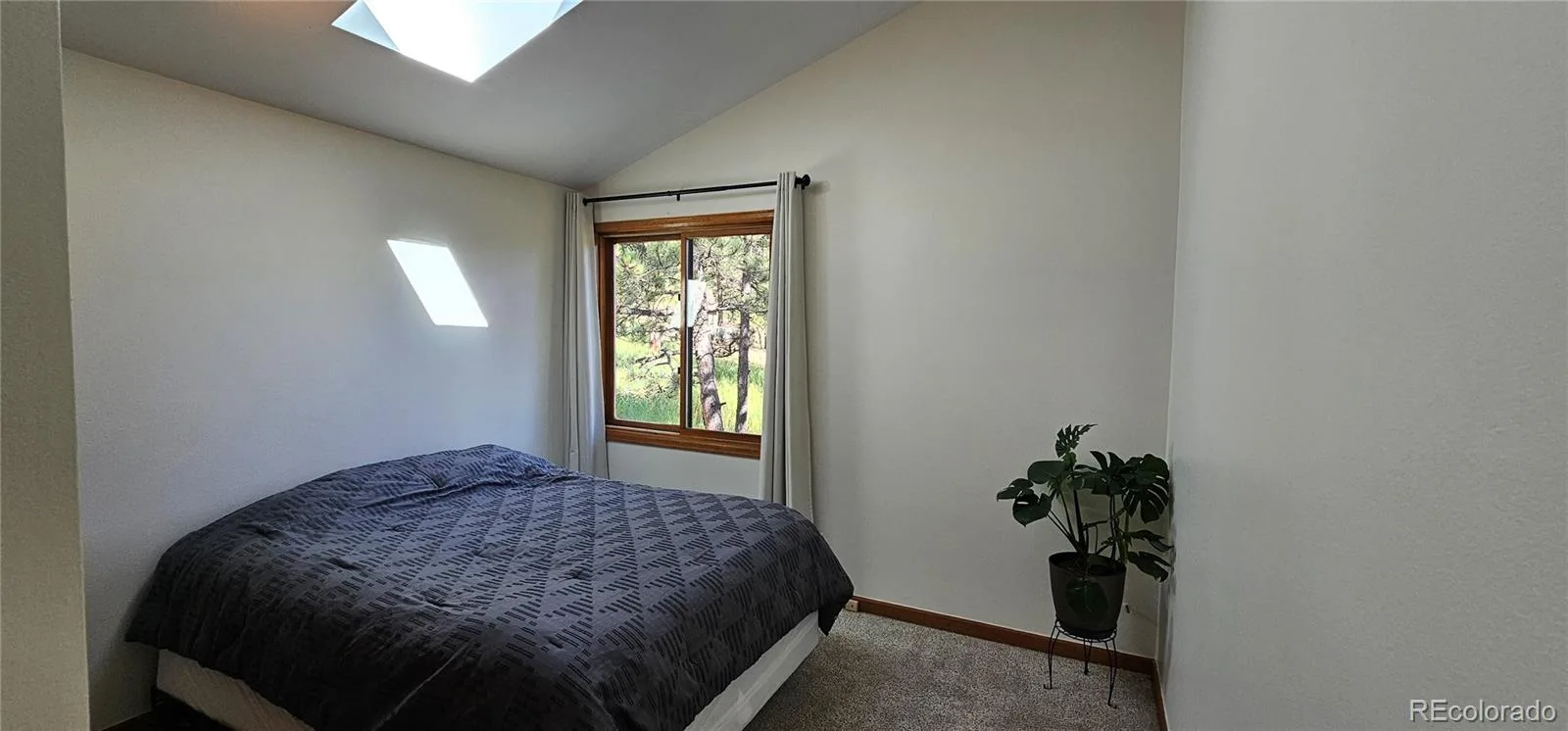 27901 Pine Drive Evergreen CO 80439 | MLS #REC2804813 08212026205741 1600 21