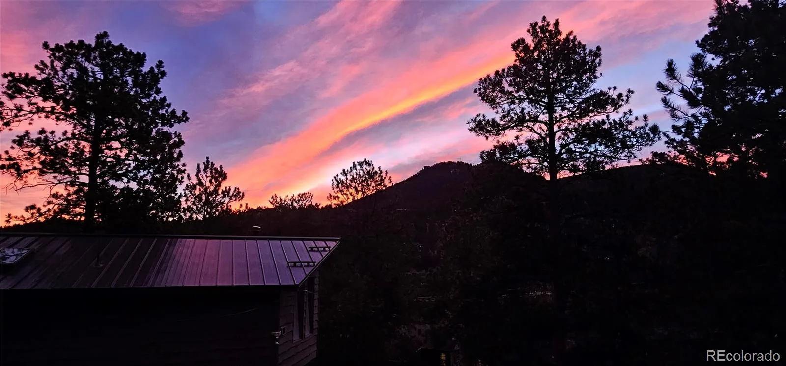 27901 Pine Drive Evergreen CO 80439 | MLS #REC2804813 08212026205741 1600 25