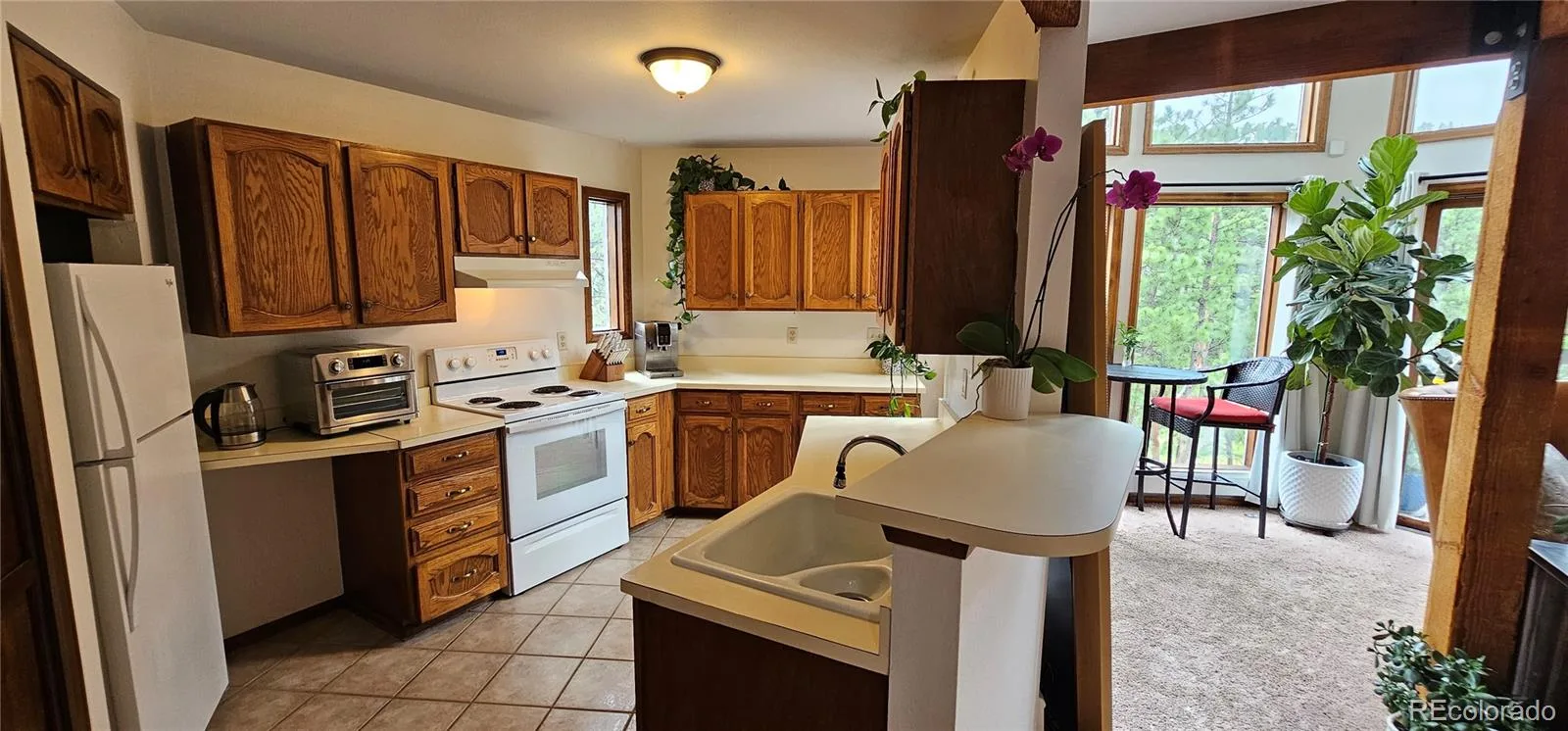 27901 Pine Drive Evergreen CO 80439 | MLS #REC2804813 08212026205741 1600 9