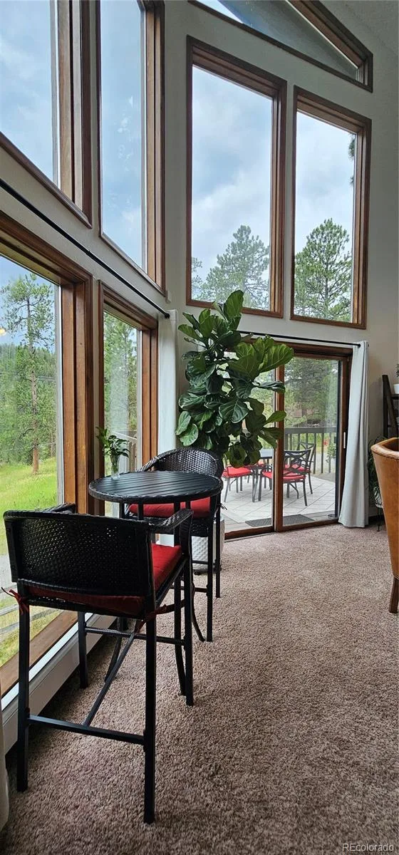 27901 Pine Drive Evergreen CO 80439 | MLS #REC2804813 08212026205741 560 10