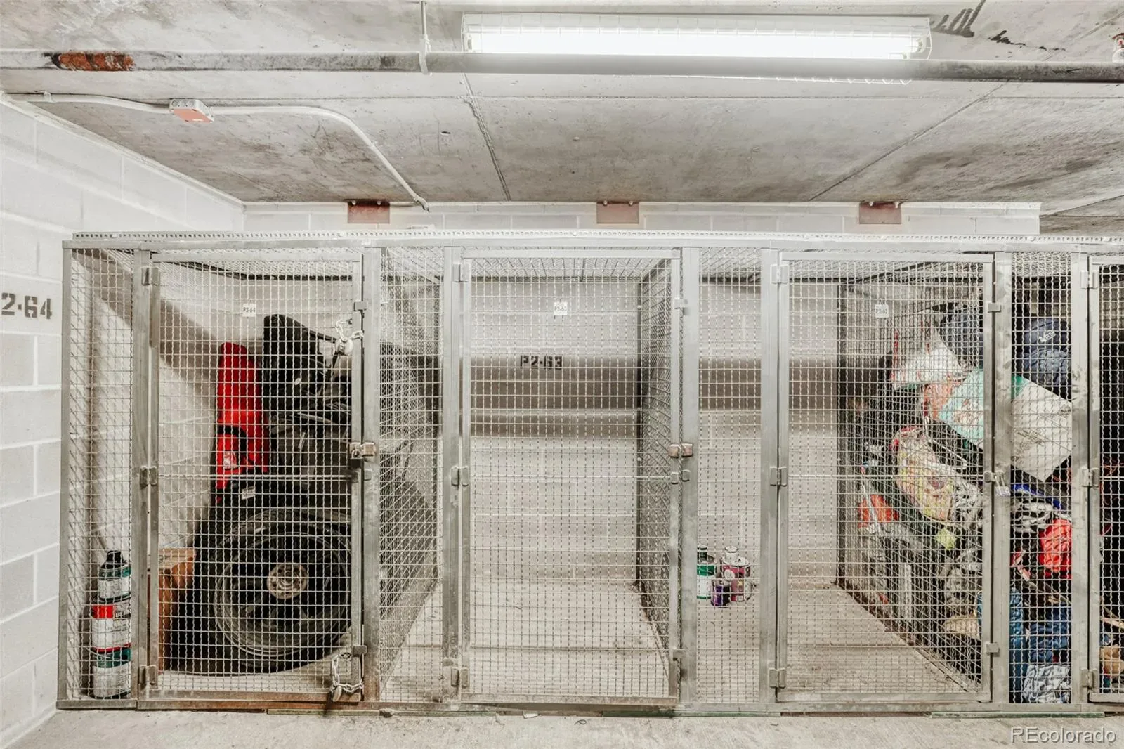 03292026030305 1600 31