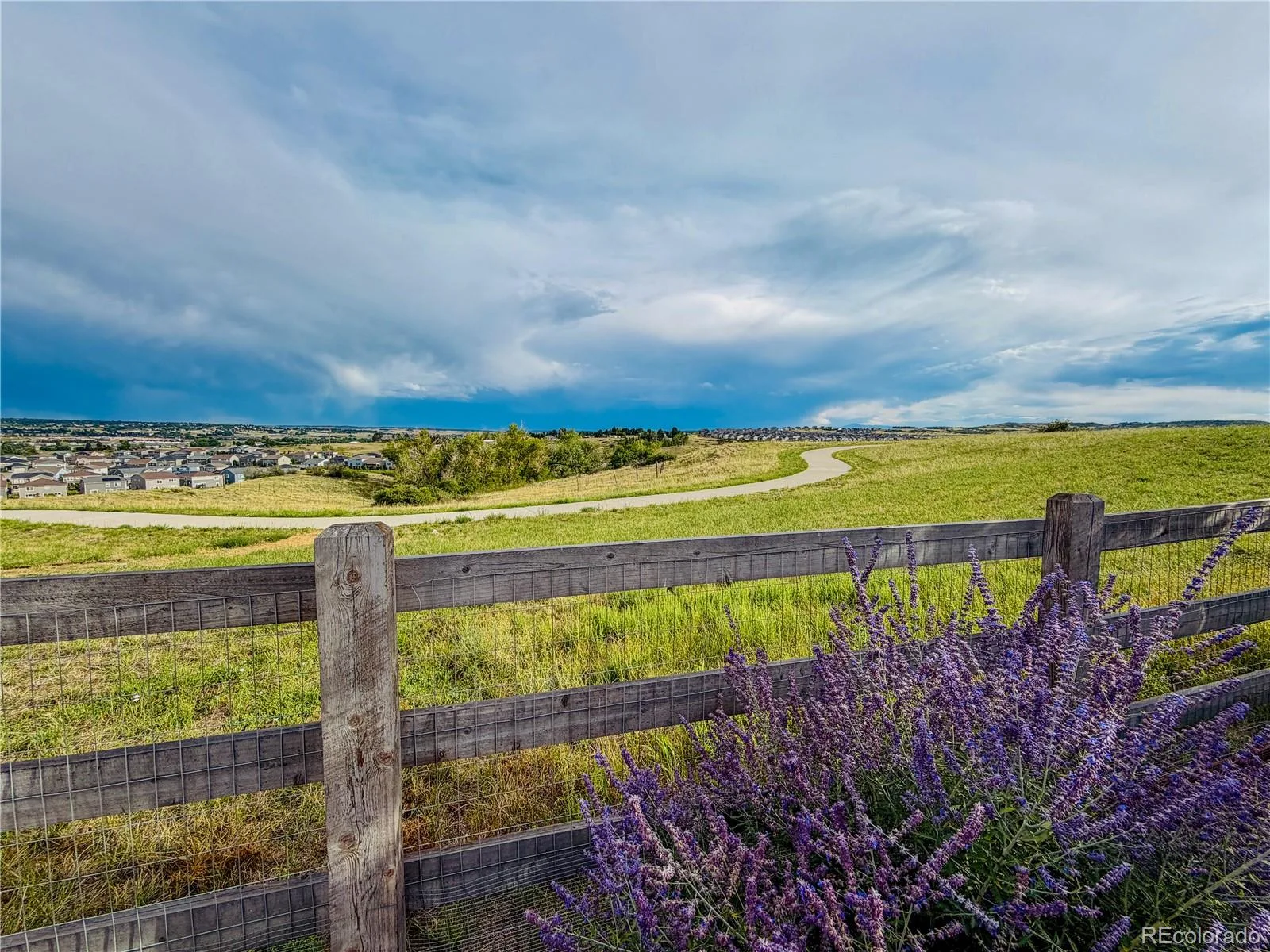 17664 Prairie Peak Trail Parker CO 80134 | MLS #REC2811594 08282026014522 1600 2