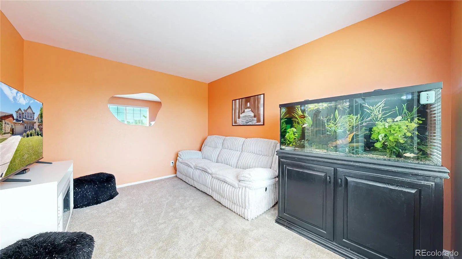 5312 Nelson Street Arvada CO 80002 MLS #REC2813382 07032026192957 1600 16