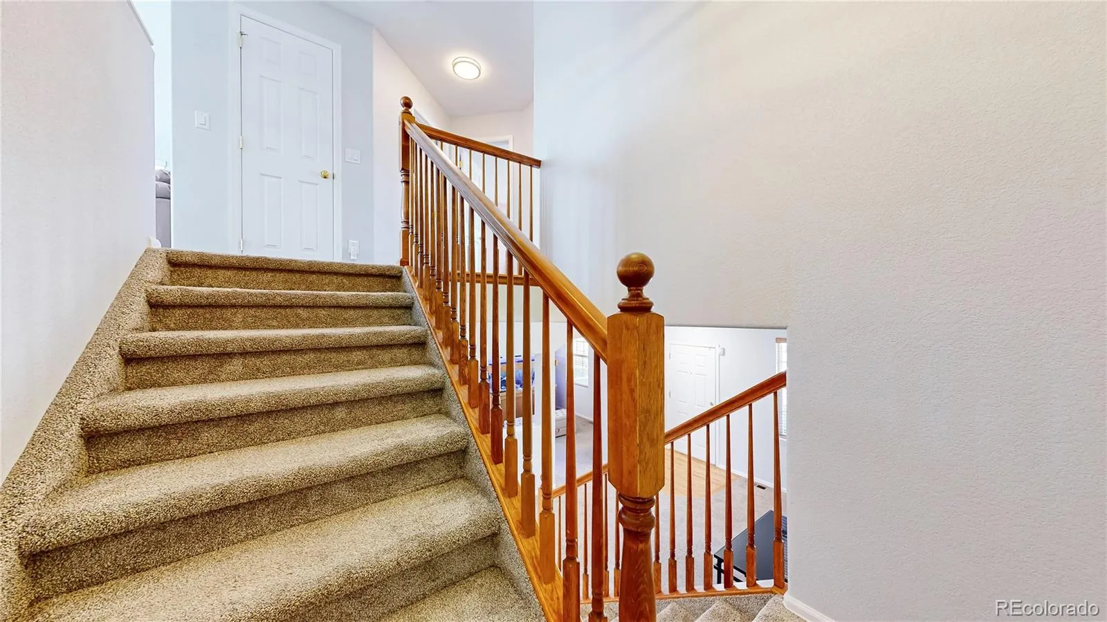 5312 Nelson Street Arvada CO 80002 MLS #REC2813382 07032026192957 1600 18