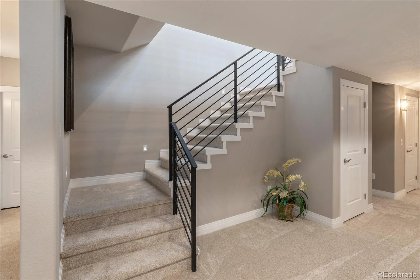 1131 S Balsam Court Lakewood CO 80232 | MLS #REC2822357 08132026070456 1600 25