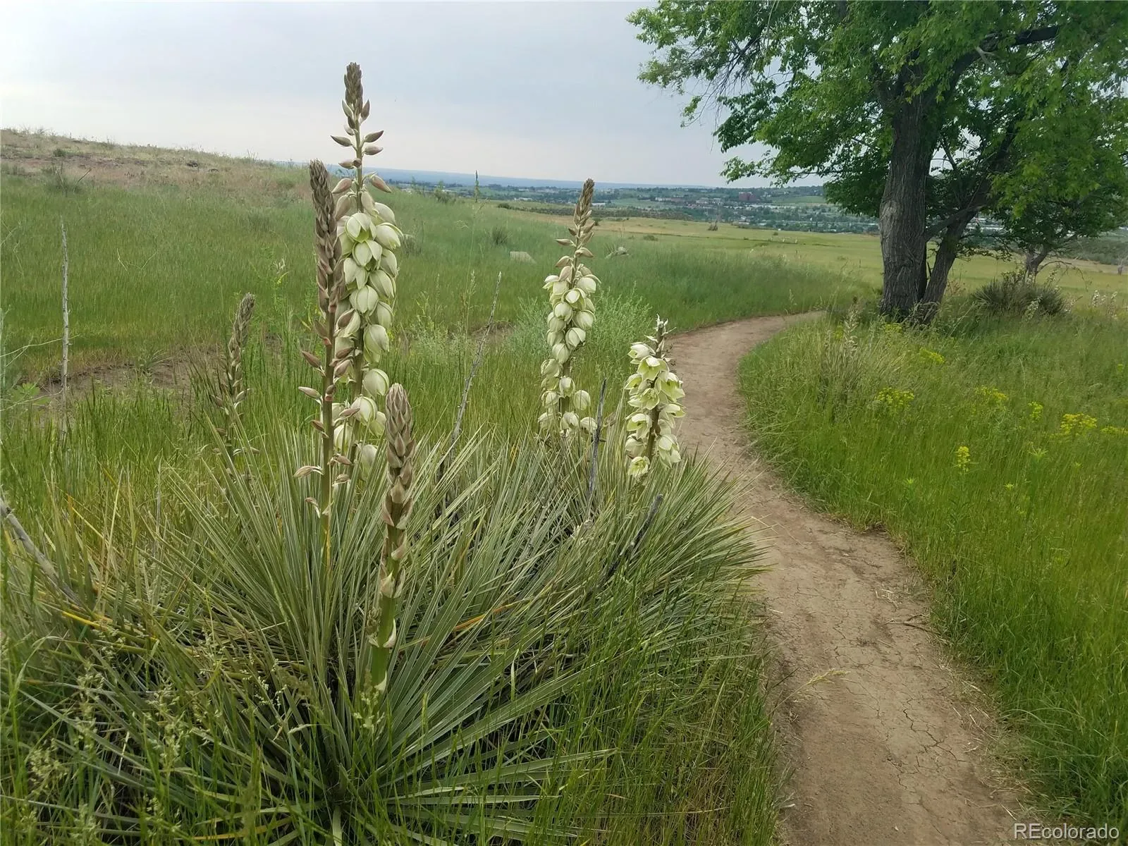 03172026142105 1600 41