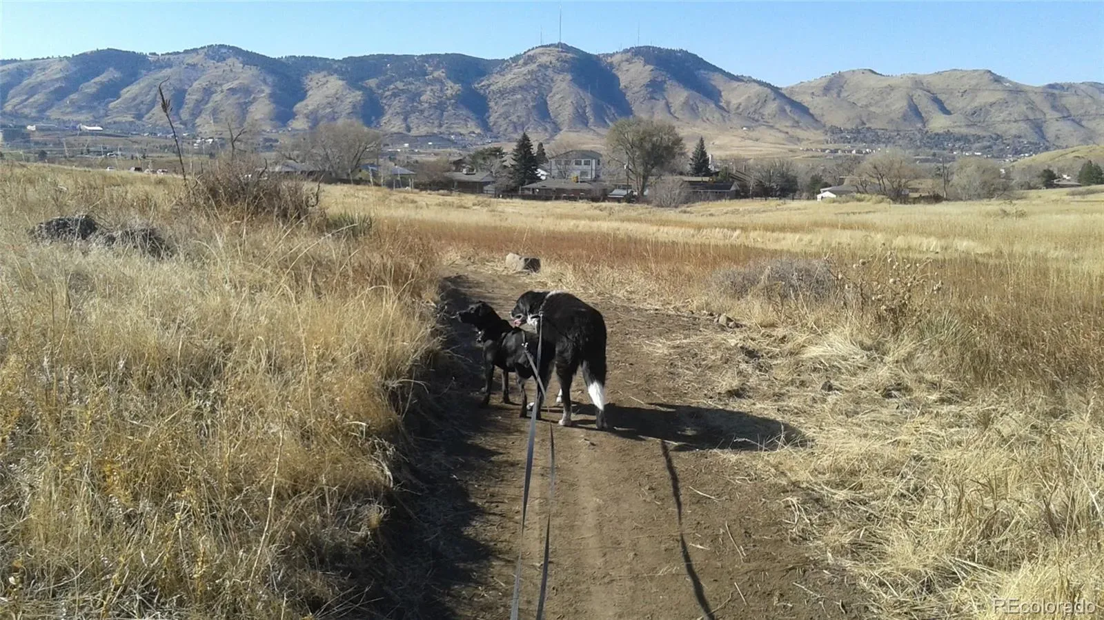 03172026142105 1600 44