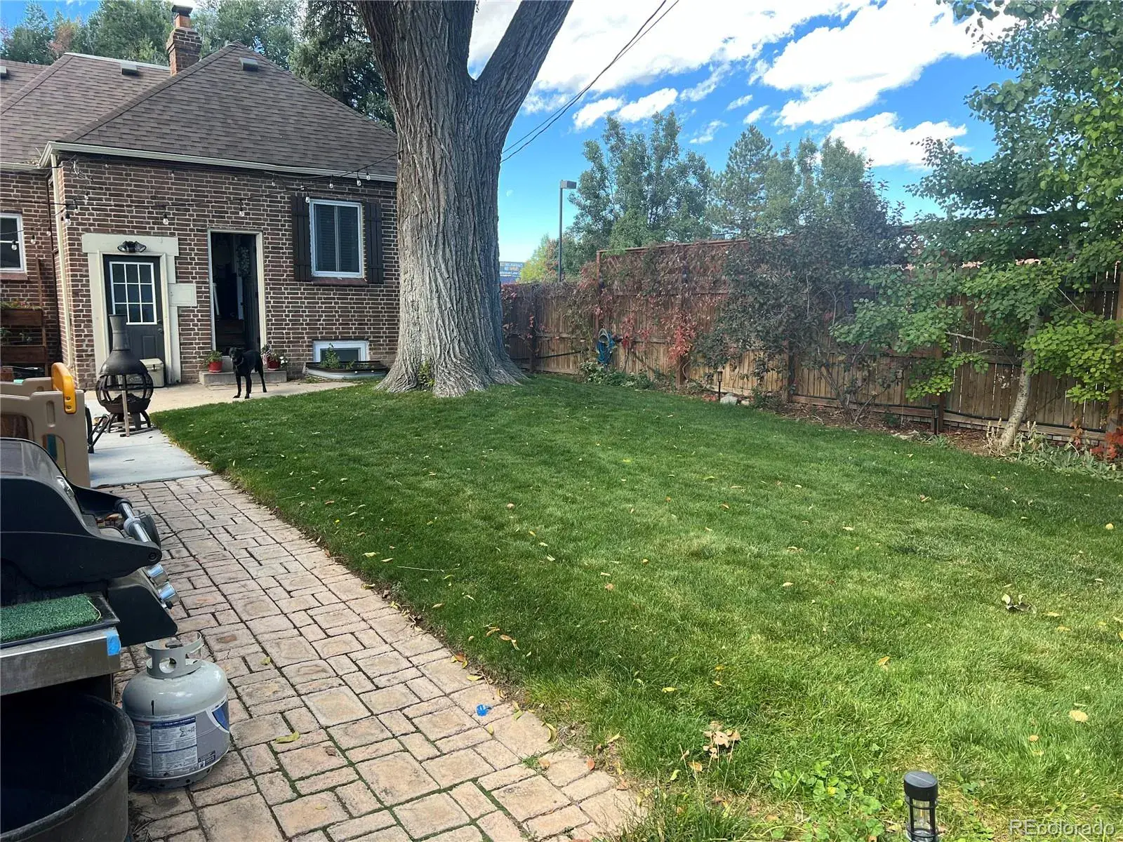 03062026074315 1600 31