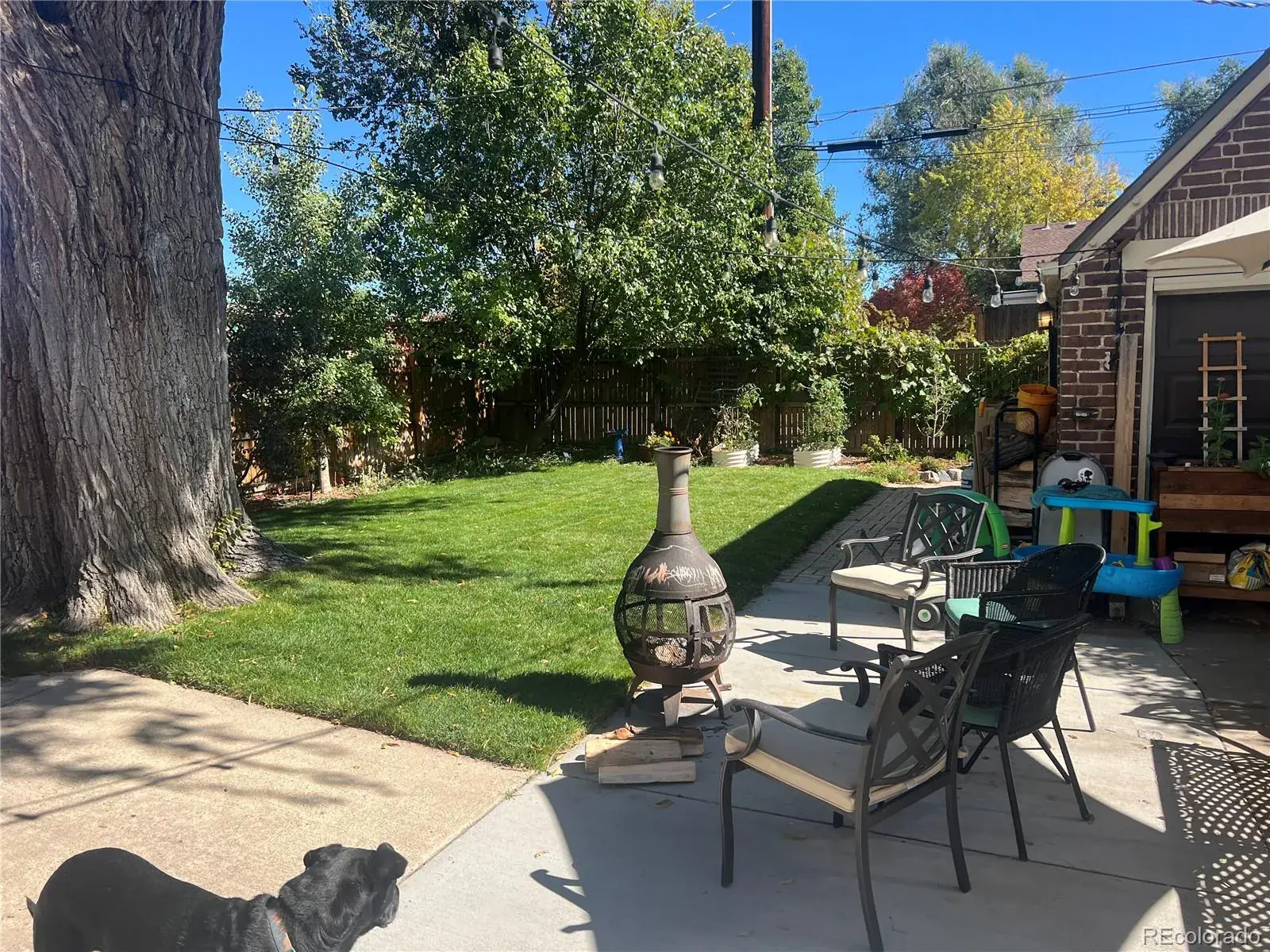 03062026074315 1600 33