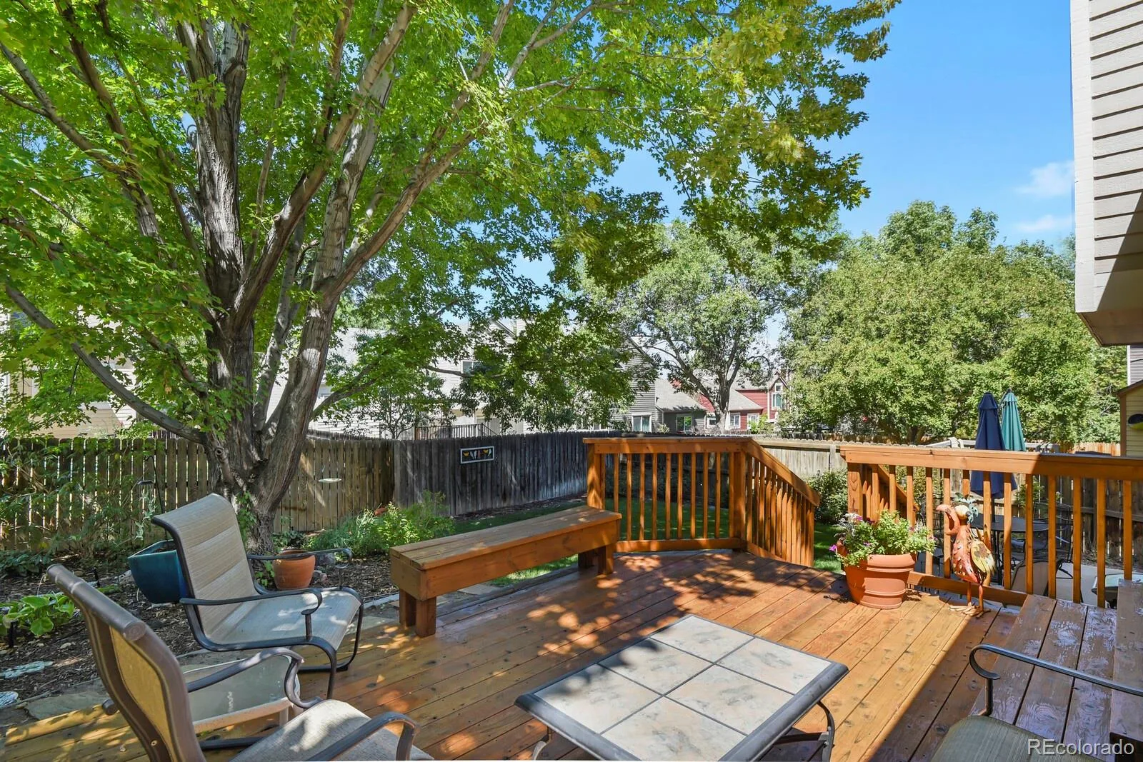 11459 King Court Westminster CO 80031 | MLS #REC2837699 08212026232802 1600 19