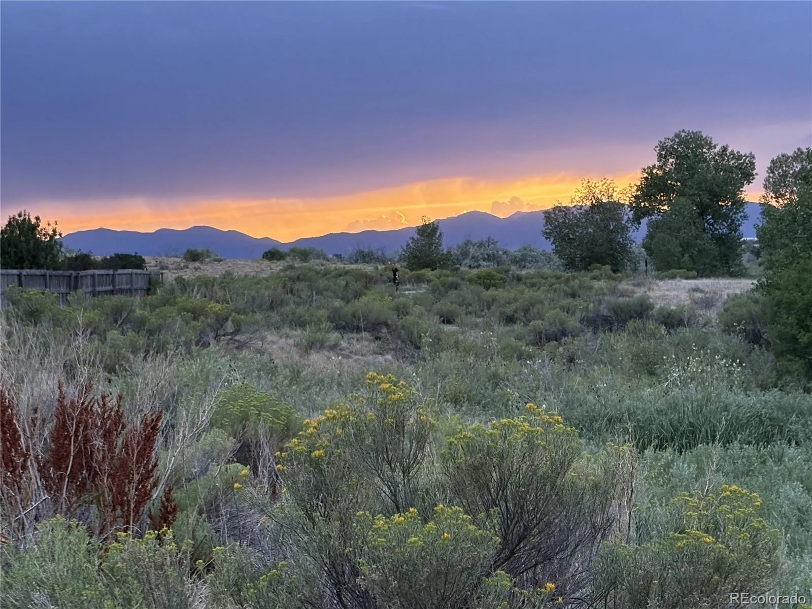 11459 King Court Westminster CO 80031 | MLS #REC2837699 08212026232802 1600 25