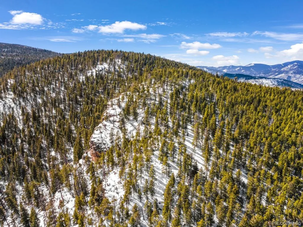 Clear Creek Road Evergreen CO 80439 | MLS #REC2843708 07032026204531 1024 1