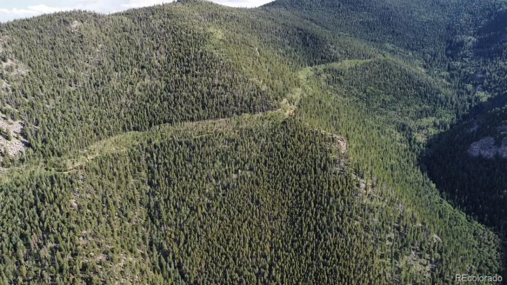 Clear Creek Road Evergreen CO 80439 | MLS #REC2843708 07032026204531 1024 13