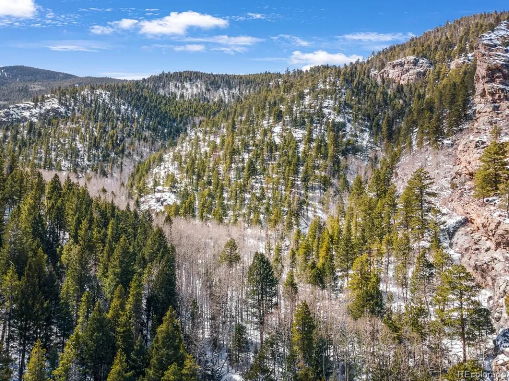 Clear Creek Road Evergreen CO 80439 | MLS #REC2843708 07032026204531 1024 3