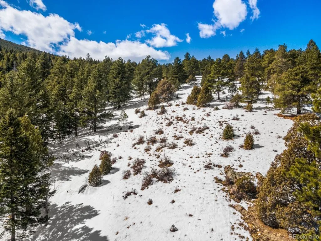 Clear Creek Road Evergreen CO 80439 | MLS #REC2843708 07032026204531 1024 4