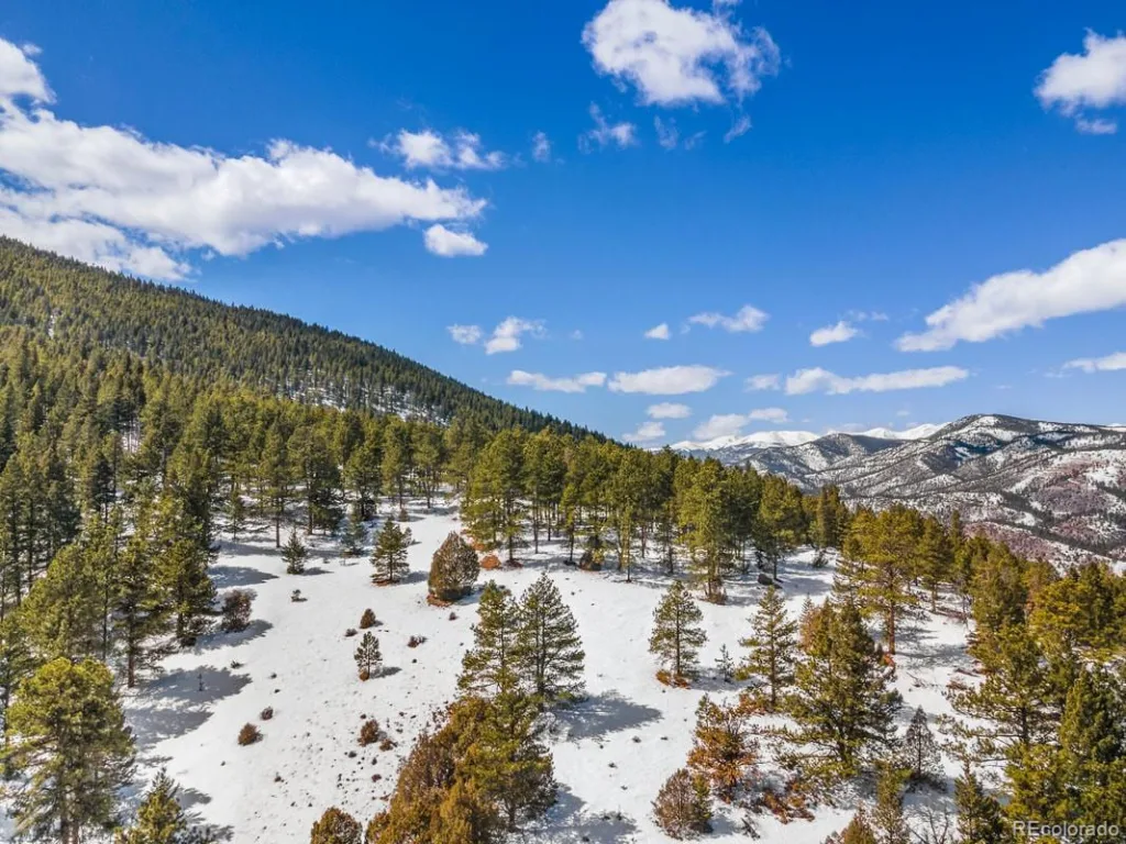 Clear Creek Road Evergreen CO 80439 | MLS #REC2843708 07032026204531 1024 5