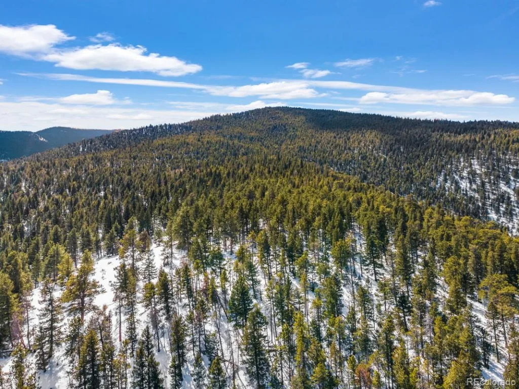 Clear Creek Road Evergreen CO 80439 | MLS #REC2843708 07032026204531 1024 6
